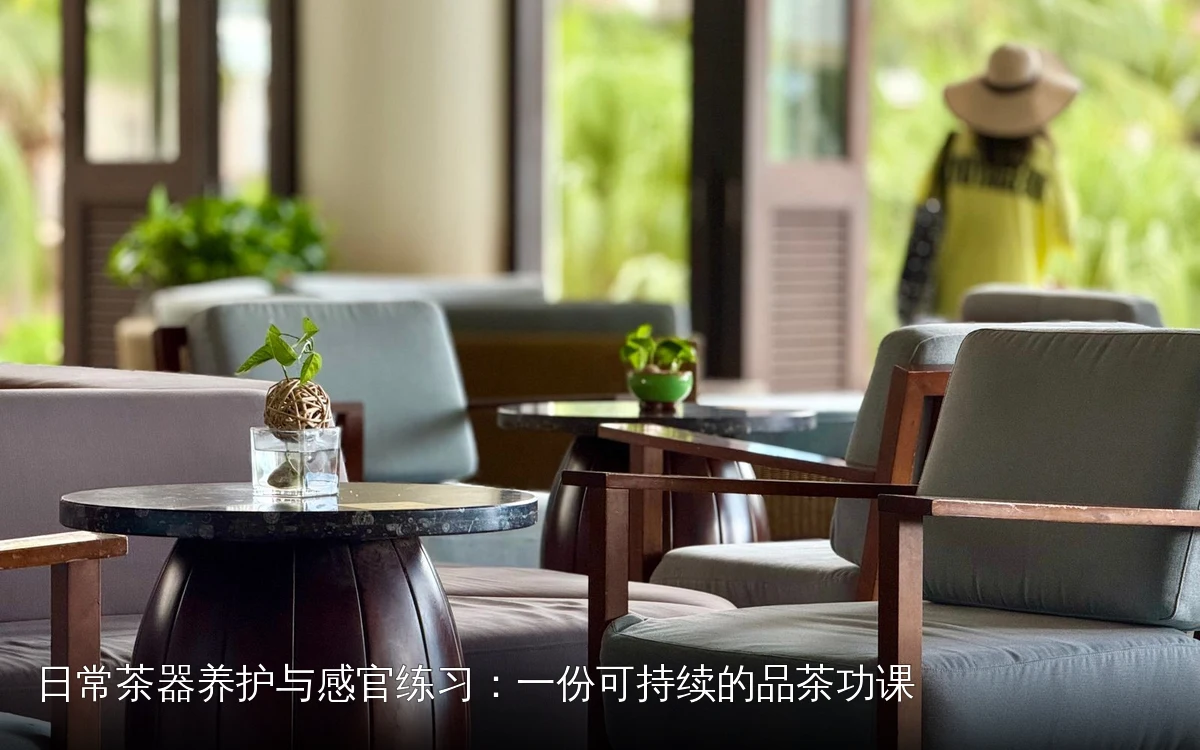 日常茶器养护与感官练习：一份可持续的品茶功课