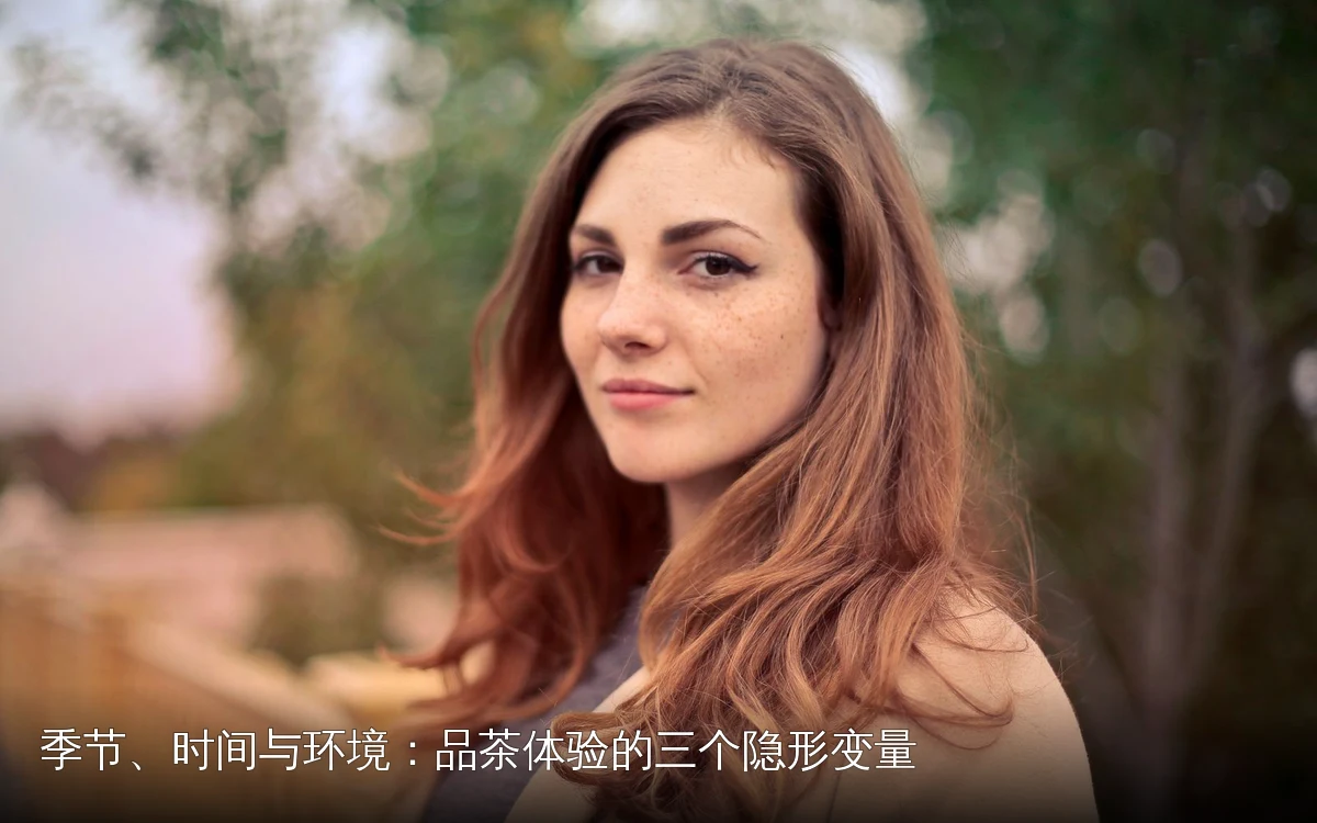 季节、时间与环境：品茶体验的三个隐形变量